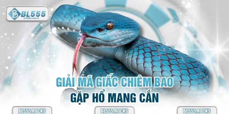 Giải mã giấc chiêm bao gặp hổ mang cắn