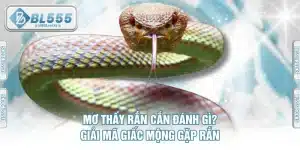 Mơ Thấy Rắn Cắn Đánh Gì? Giải Mã Giấc Mộng Gặp Rắn